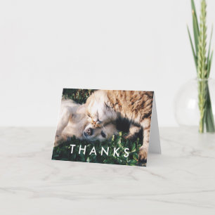 Thank You Card with Cat and Dog