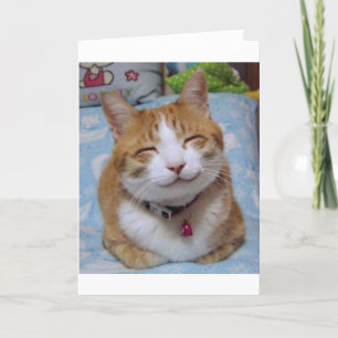 Thank You Card with Happy Cat