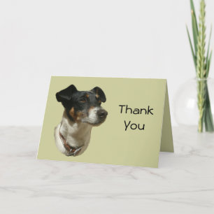 Thank You Card with Jack Russell Dog