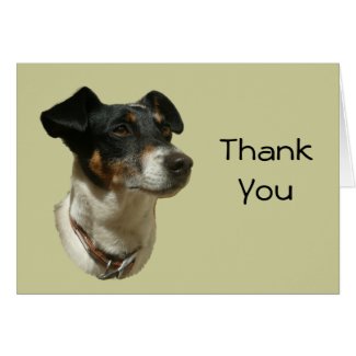 Thank You Card with Jack Russell Dog