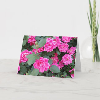 Thank You Card with Roses