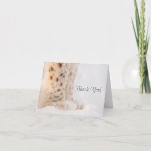 Thank you card with soft golden lynx paws in snow