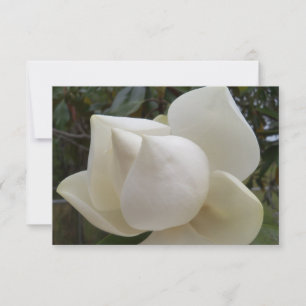 Thank you card with white Magnolia Flower