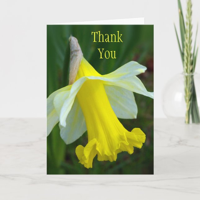 Thank You Card - Yellow Daffodil (Front)