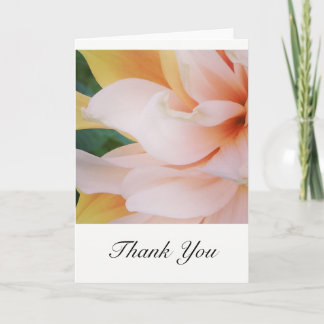 Thank you cards