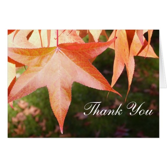 Thank You Cards - Autumn Leaves
