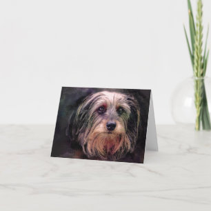 Thank you cards - Cute Dog Greeting Cards