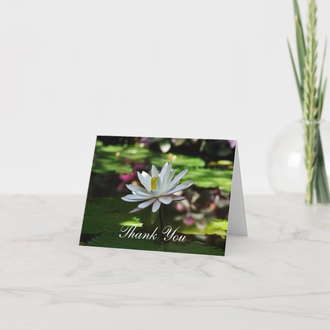 Thank You Cards - Water Lily on Pond (Front)