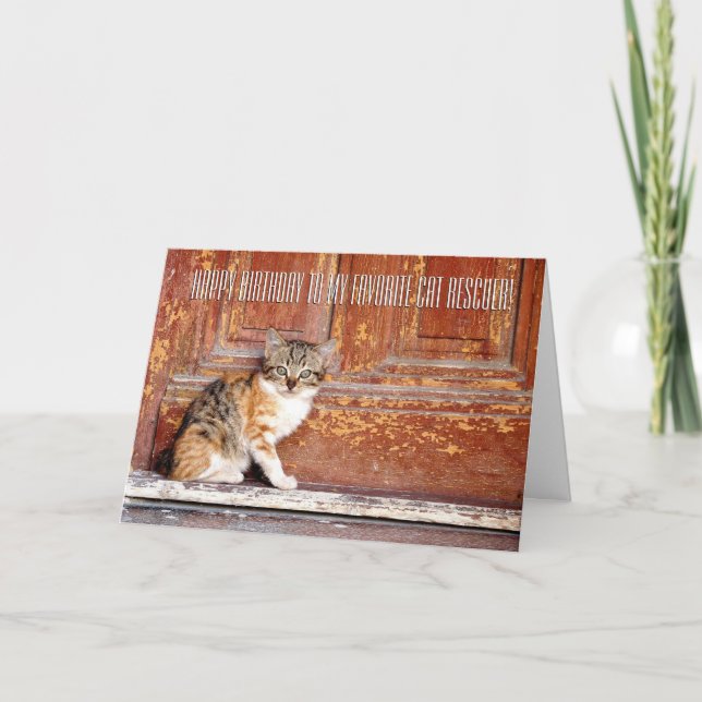 Thank You Cat Rescuer Greeting Card (Front)