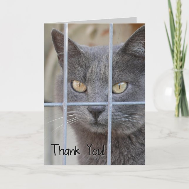 Thank You! Cat You Card (Front)