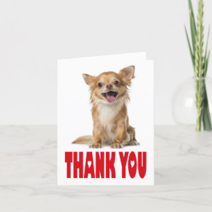 Thank You Chihuahua Puppy Dog Blank Notecard