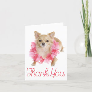 Thank You Chihuahua Puppy Dog Blank Notecard