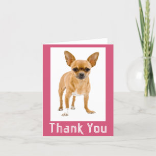 Thank You Chihuahua Puppy Dog Blank Notecard