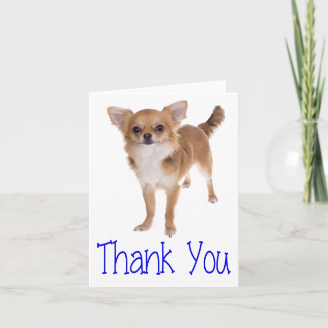 Thank You Chihuahua Puppy Dog Blank Notecard (Front)