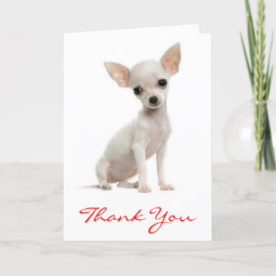 Thank You Chihuahua Puppy Dog Greeting Card