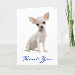 Thank You Chihuahua Puppy Dog Greeting Card