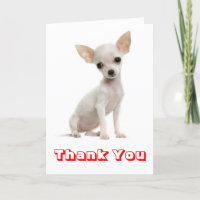 Thank You Chihuahua Puppy Dog Greeting Card