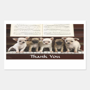 Thank You Chihuahua Puppy Dogs Greeting Sticker