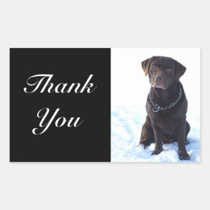 Thank You Chocolate Labrador Retriever Sticker