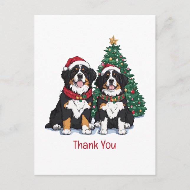 Thank You Christmas Bernese Mountain Dogs Postcard (Front)