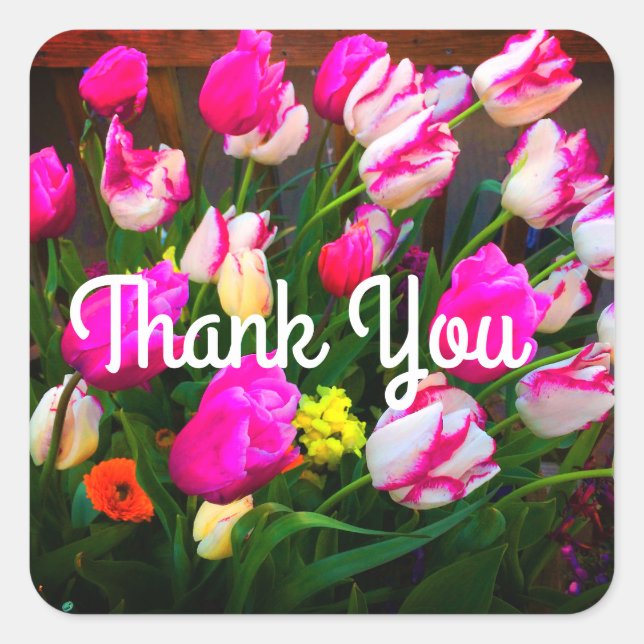 Thank You Christmas Dream and Affaire #1-1 Square Sticker (Front)