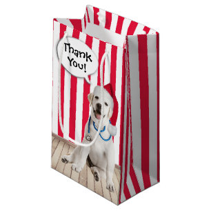 Thank You Christmas for Veterinarian   Small Gift Bag