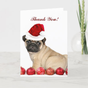 Thank You Christmas Pug dog card