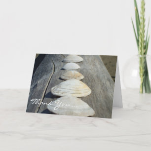 Thank You Clam Shells greeting card