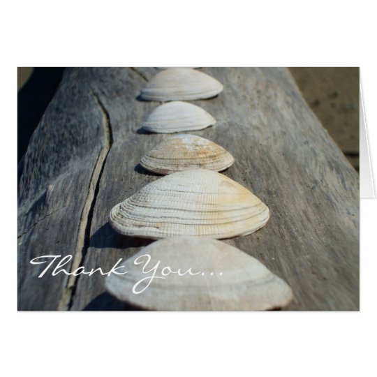 Thank You Clam Shells greeting card