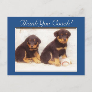 Thank You Coach Rottweiler puppies postcard