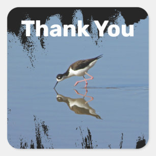 Thank You Coast Beach Bird Reflection Appreciation Square Sticker