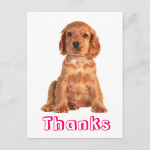 Thank You Cocker Spaniel Puppy Dog Postcard