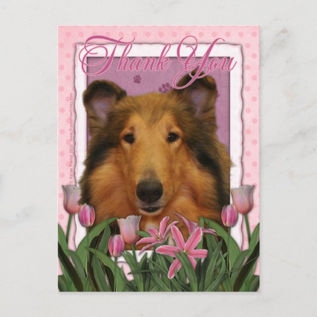 Thank You - Collie - Natalie Postcard (Front)