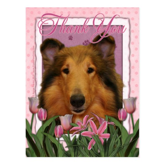 Thank You - Collie - Natalie Postcard