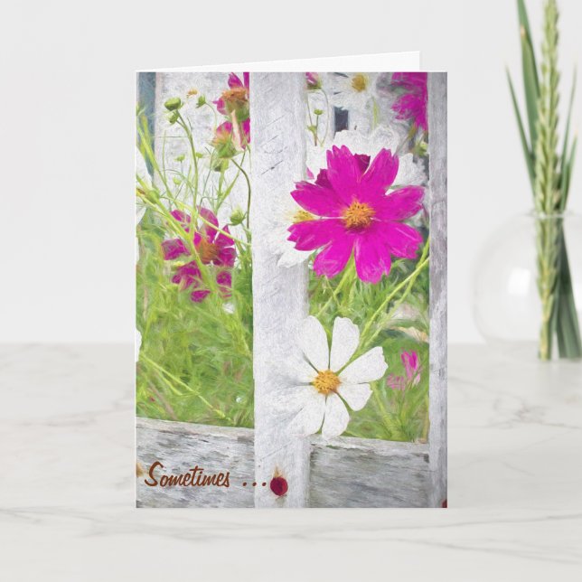 thank you cosmos flower garden (Front)