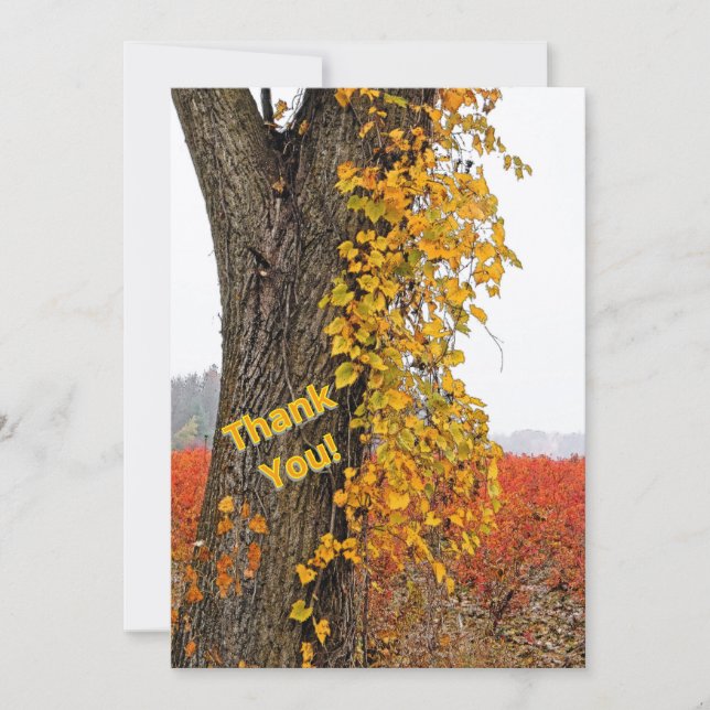 THANK YOU/CUSTOMIZABLE/TREE,VINE, BLUEBERRY FIELDS (Front)
