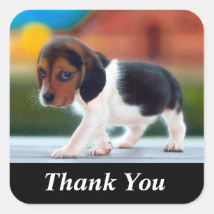 Thank You Cute Beagle Puppy Dog Sticker
