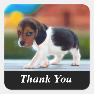 Thank You Cute Beagle Puppy Dog Sticker