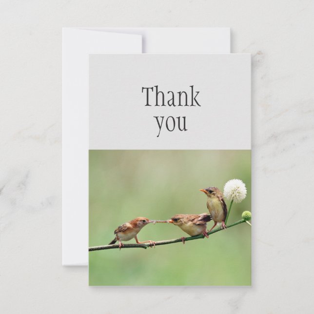 Thank You Cute Bird Parent Baby Birds (Front)