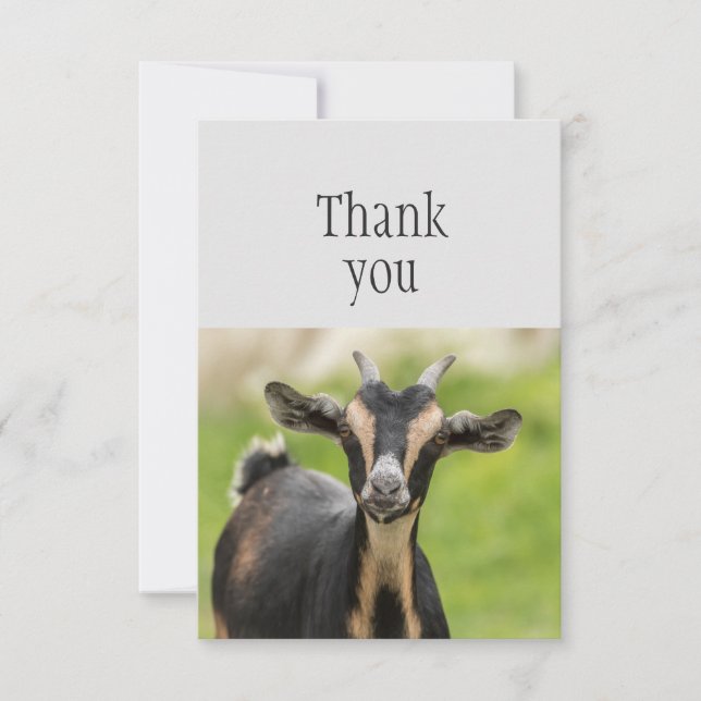 Thank You Cute Farm Animal Goat  (Front)
