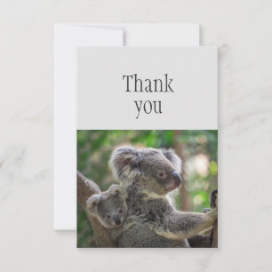 Thank You Cute Little Koala Bear & Joey