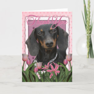 Thank You - Dachshund