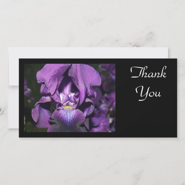 Thank You-Deep Purple Iris Thank You Card (Front)
