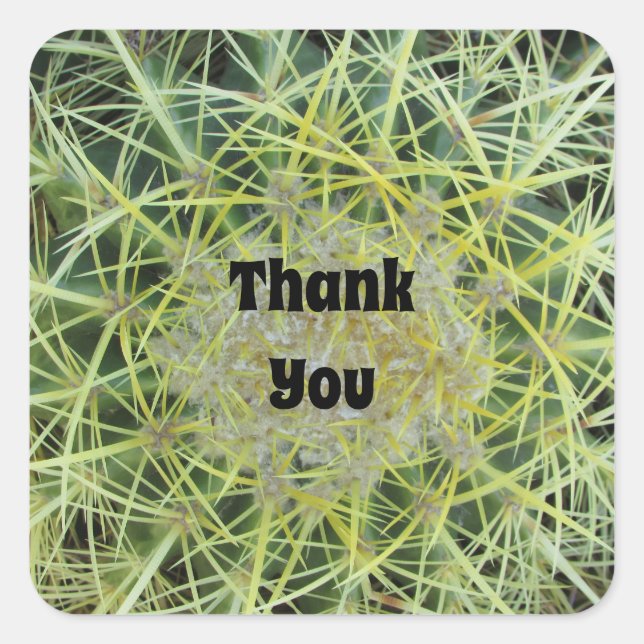 Thank You Desert Plant Appreciation Cactus Square Sticker (Front)