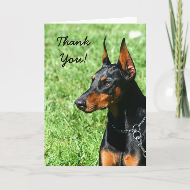 Thank You Doberman Pinscher greeting card (Front)