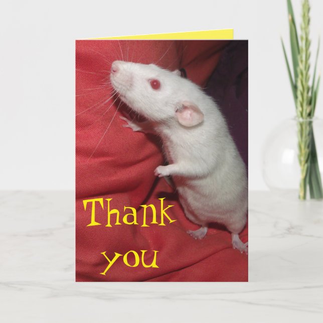 thank you Dumbo Rat card (Front)