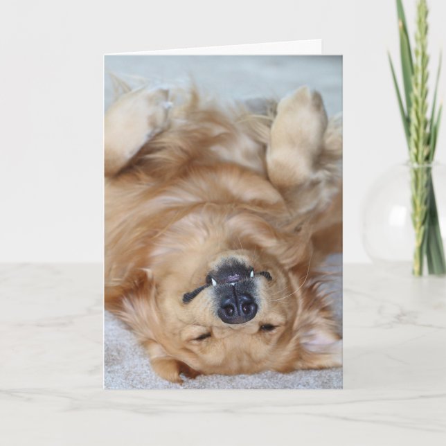 Thank You Fangs (Front)