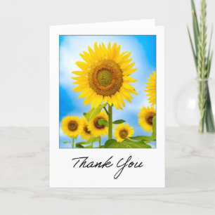 Thank You For Anyone Beautiful Sunflower Photo Holiday Card