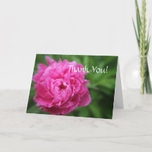 Thank You for Being a Bright Spot - Peony
