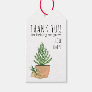 Thank You for Helping Me Grow Potted Fir Tree Gift Tags